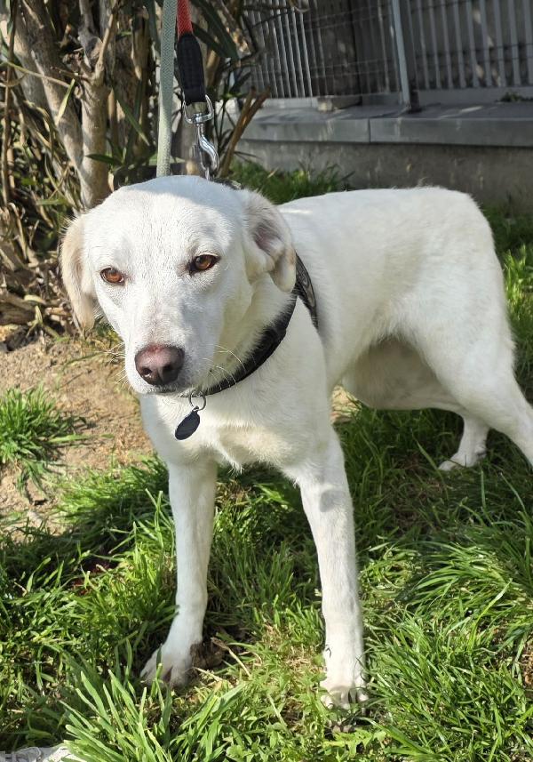 ALICE CAGNOLINA DELIZIOSA Foto 2